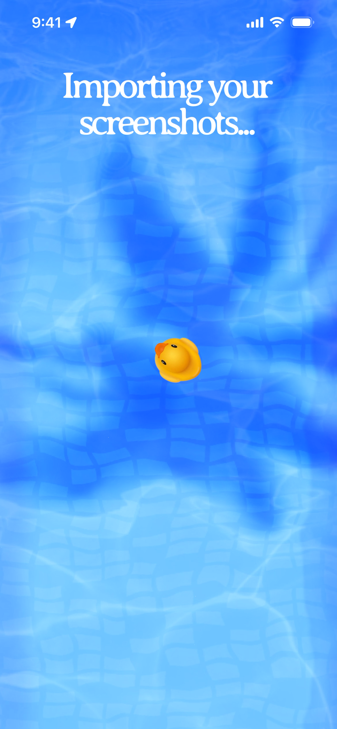 Splash screen displaying import progress with a floating duck icon.