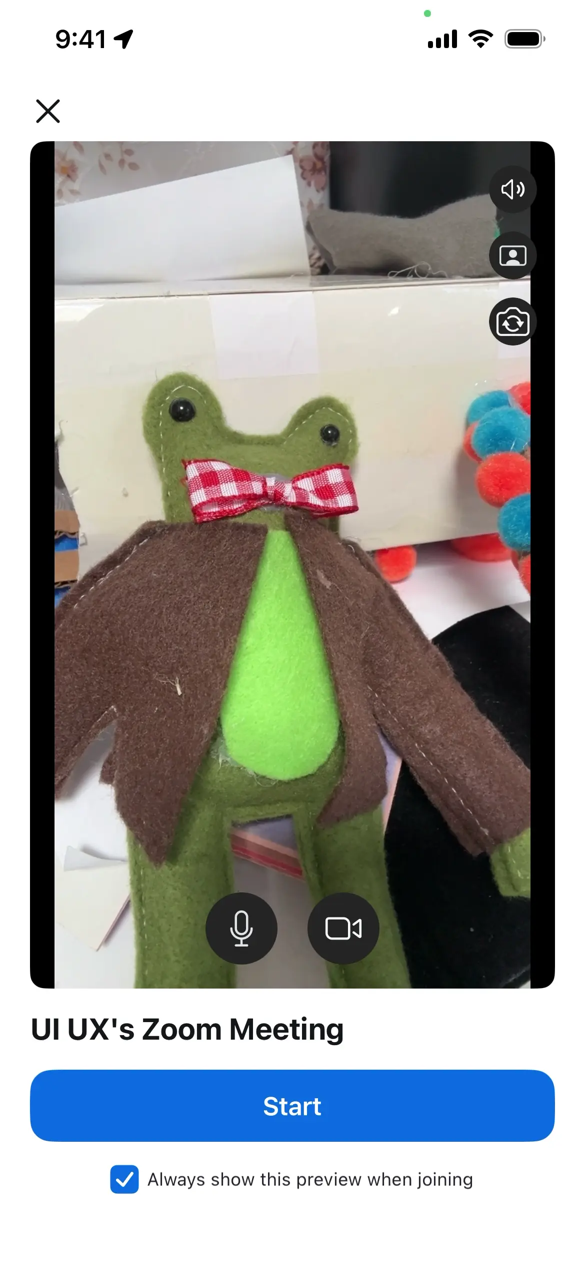 Preview screen for Zoom meeting with a plush frog wearing a bow tie.