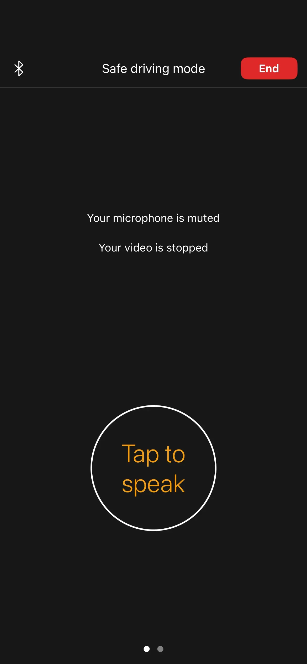 Screen showing safe driving mode with muted microphone and stopped video.