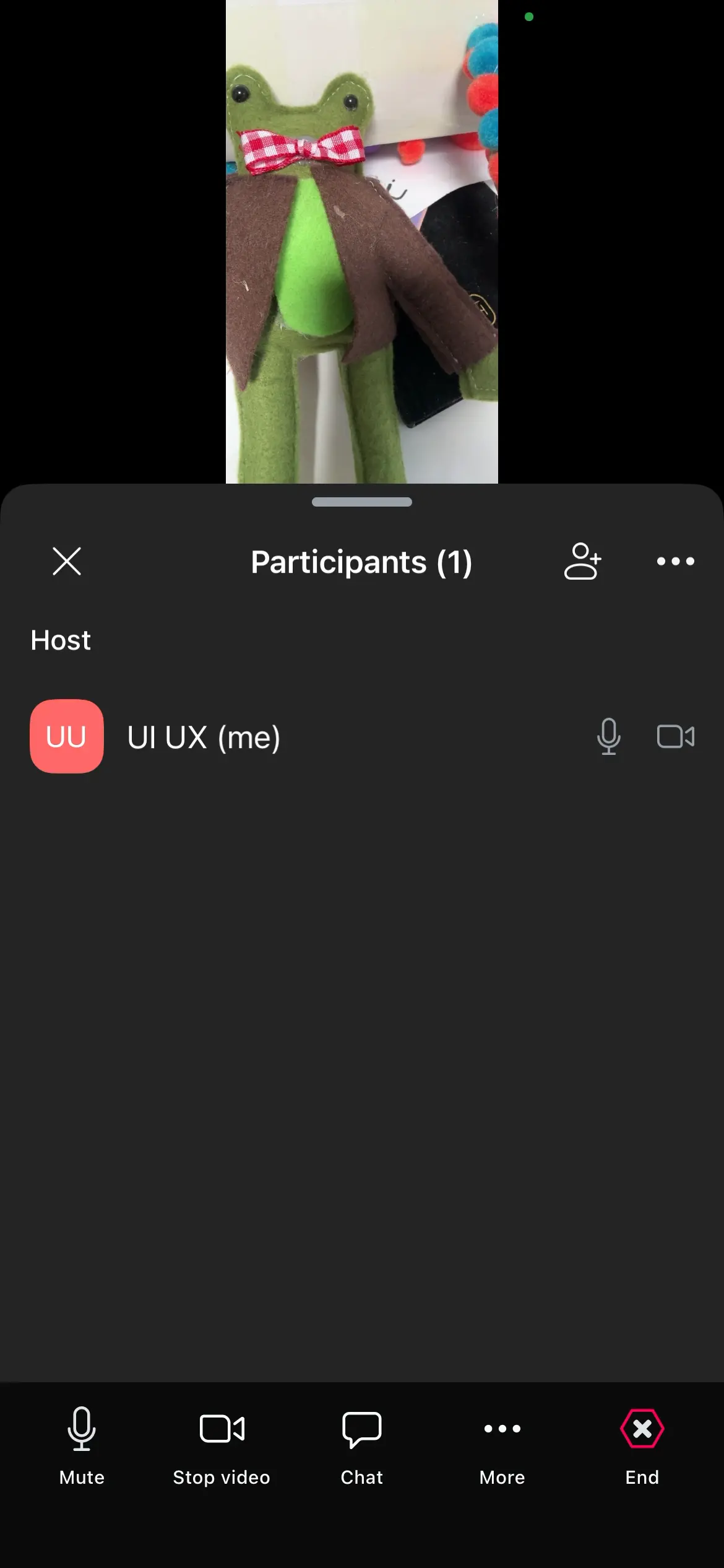 Participants list with UI UX (me) shown as host, showing buttons for video and chat.