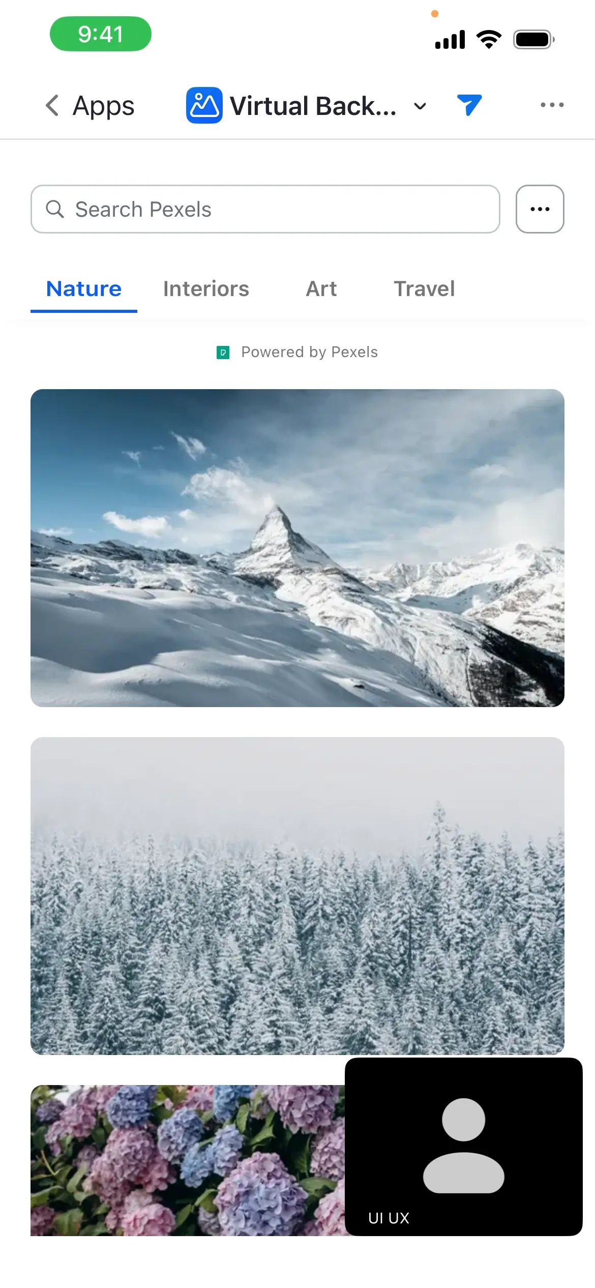 Screenshot of the Virtual Backgrounds screen showing nature images.