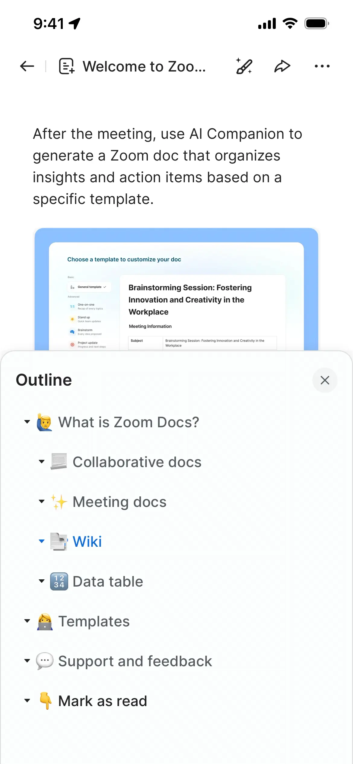 Screenshot showing the Zoom Workplace outline with document templates.